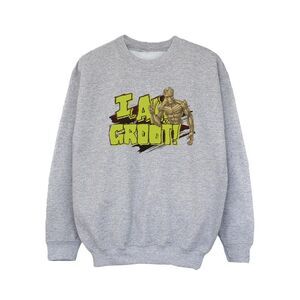 Guardians Of The Galaxy Girls I Am Groot Sweatshirt / Sports Grey